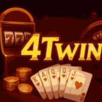 4twin